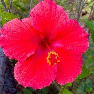 Not For Sale…EVERYTHING NEGOTIABLE!